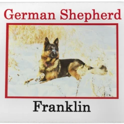 Personalized Computer Mouse Pad - Custom Text & Photo -Puppy`s Store 000014 2B full 36781.1638911384