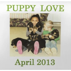 Personalized Computer Mouse Pad - Custom Text & Photo -Puppy`s Store 000014 5B full 44219.1638911375