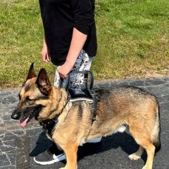 Leather Heavy Duty Mobility Harness -Puppy`s Store 001 08466.1666639053