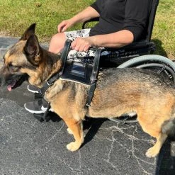 Leather Heavy Duty Mobility Harness -Puppy`s Store 002 95715.1666639053