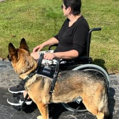 Leather Heavy Duty Mobility Harness -Puppy`s Store 003 66487.1666639053