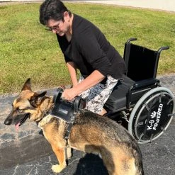 Leather Heavy Duty Mobility Harness -Puppy`s Store 006 31171.1666639053