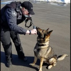 Bite Suit Tug 2pk - 2.5x13 -Puppy`s Store 007002 11 full 77662.1645445268