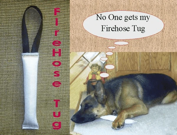 Fire Hose Training Tugs 3 Fire Hose Training Tugs - Image 3