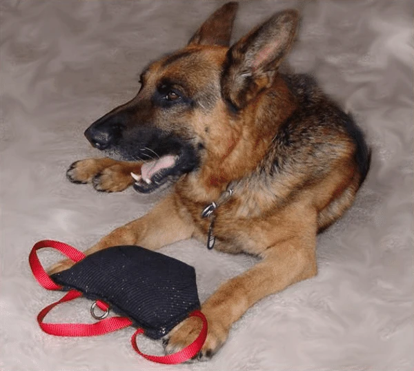 Bite Suit Wedge With Handles 6x10 2 Bite Suit Wedge With Handles 6x10 - Image 2