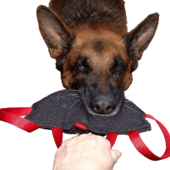 Bite Suit Wedge With Handles 6x10 6 Bite Suit Wedge With Handles 6x10 -Puppy`s Store 00713113 2 full 79880.1652094060