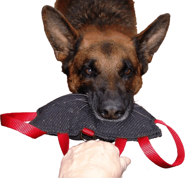 Bite Suit Wedge With Handles 6x10 3 Bite Suit Wedge With Handles 6x10 - Image 3