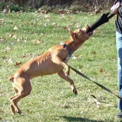 Bite Suit Tugs - Single Handle -Puppy`s Store 0074221H 100 full 42791.1638911537