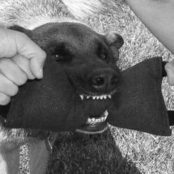 Bite Suit Tugs - Double Handle -Puppy`s Store 0074222H 100 full 83279.1638911512