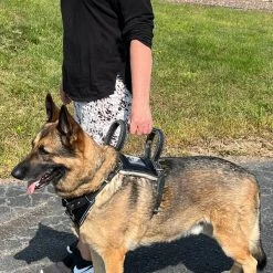 Leather Heavy Duty Mobility Harness -Puppy`s Store 007 37536.1666639053