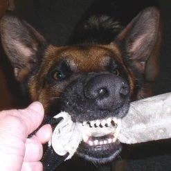 Leather Tugs -Puppy`s Store 008200L 100 full 31145.1638911529