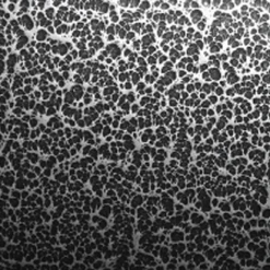 Aluminum Dumbbell Rack -Puppy`s Store 109028 2 full 25387.1638911342