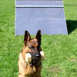 IGP/IPO/Schutzhund Scaling Wall A-Frame -Puppy`s Store 109030 100 full 82467.1653998053