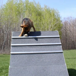IGP/IPO/Schutzhund Scaling Wall A-Frame -Puppy`s Store 109030 21A full 56829.1653998053