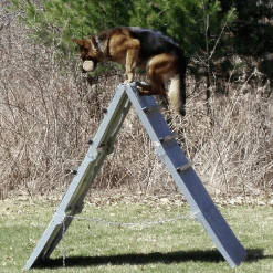 IGP/IPO/Schutzhund Scaling Wall A-Frame -Puppy`s Store 109030 3A full 90509.1653998053