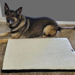 Dog Bed W/ Joint Relief Memory Foam -Puppy`s Store 20220713 145121 03181.1677068211
