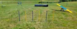 Agility Competition Weave Poles - Plus 2x2 Training System -Puppy`s Store 20220801 151303 77898.1660248954