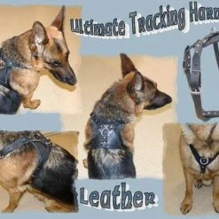 Ultimate Tracking Harness -Puppy`s Store 206300 1 full 30789.1638911398