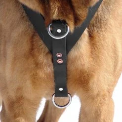 Ultimate Tracking Harness -Puppy`s Store 206300 7 full 34710.1638911402