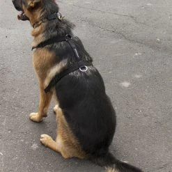 Nylon Tracking Dog Harness -Puppy`s Store 207086 4 full 74214.1638911358