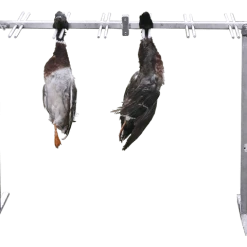 Puppy`s Store -Puppy`s Store 220000 3 full 49005.1638911382