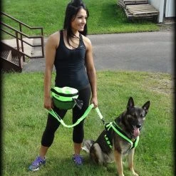 ActiveDogs Fleece Bungee Leash -Puppy`s Store 273040 15 full 91590.1638911471