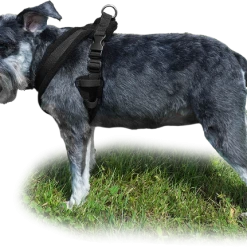 ActiveDogs Fleece No Pull Dog Harness -Puppy`s Store 273050 12a full 97633.1646860328