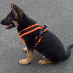 ActiveDogs Fleece No Pull Dog Harness -Puppy`s Store 273050 14 full 85287.1646860328