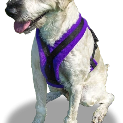 ActiveDogs Fleece No Pull Dog Harness -Puppy`s Store 273050 17 full 30106.1646860328