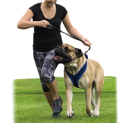 ActiveDogs Fleece No Pull Dog Harness -Puppy`s Store 273050 23a full 53742.1645445212