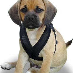 ActiveDogs Fleece No Pull Dog Harness -Puppy`s Store 273050 26a full 02680.1645445212