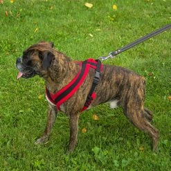 ActiveDogs Fleece No Pull Dog Harness -Puppy`s Store 273050 27 full 92906.1645445212