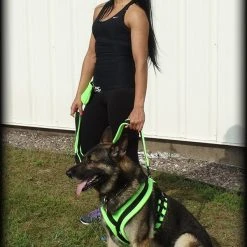 ActiveDogs Fleece No Pull Dog Harness -Puppy`s Store 273050 32 full 11547.1646860328