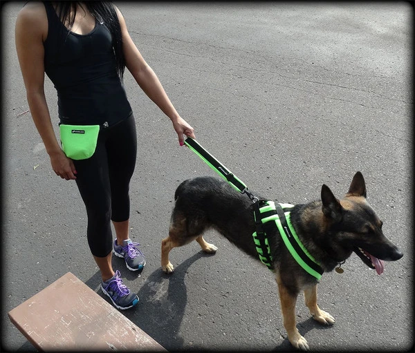 ActiveDogs Fleece Bait Bag Or Ball Pouch 2 ActiveDogs Fleece Bait Bag Or Ball Pouch - Image 2