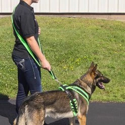 ActiveDogs Fleece Hands Free Leash -Puppy`s Store 273080 6 full 97998.1638911440