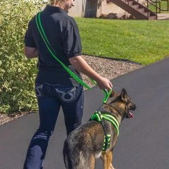 ActiveDogs Fleece Hands Free Leash -Puppy`s Store 273080 8 full 62863.1638911443