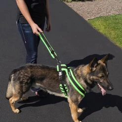 ActiveDogs Fleece Short Loop Leash -Puppy`s Store 273085 4 full 36934.1638911494