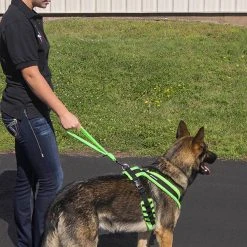 ActiveDogs Fleece Short Loop Leash -Puppy`s Store 273085 5 full 93735.1638911490