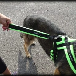 ActiveDogs Fleece Short Loop Leash -Puppy`s Store 273085 8 full 36645.1638911486