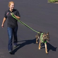 ActiveDogs Fleece Built-In Poop Bag Leash 17 ActiveDogs Fleece Built-In Poop Bag Leash -Puppy`s Store 273090 4 full 99925.1638911445