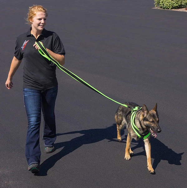 ActiveDogs Fleece Built-In Poop Bag Leash 7 ActiveDogs Fleece Built-In Poop Bag Leash - Image 7