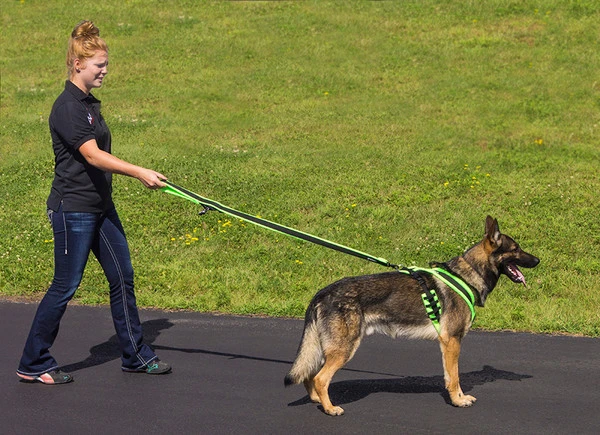 ActiveDogs Fleece Built-In Poop Bag Leash 9 ActiveDogs Fleece Built-In Poop Bag Leash - Image 9