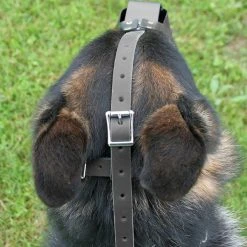 ActiveDogs Black Plastic Muzzle -Puppy`s Store 303327 2 full 99666.1638911417