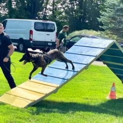 Agility A-Frame Aluminum/Wood -Puppy`s Store 3505270 20 11222.1664373862