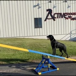 Agility SeeSaw Teeter Base -Puppy`s Store 350606 22 full 79754.1655725416