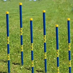 Agility In-ground Weave Poles 36" -Puppy`s Store 350760 14 full 45131.1638911343