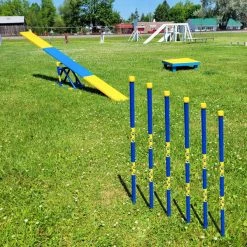 Agility In-ground Weave Poles 36" -Puppy`s Store 350760 6 full 64490.1638911347