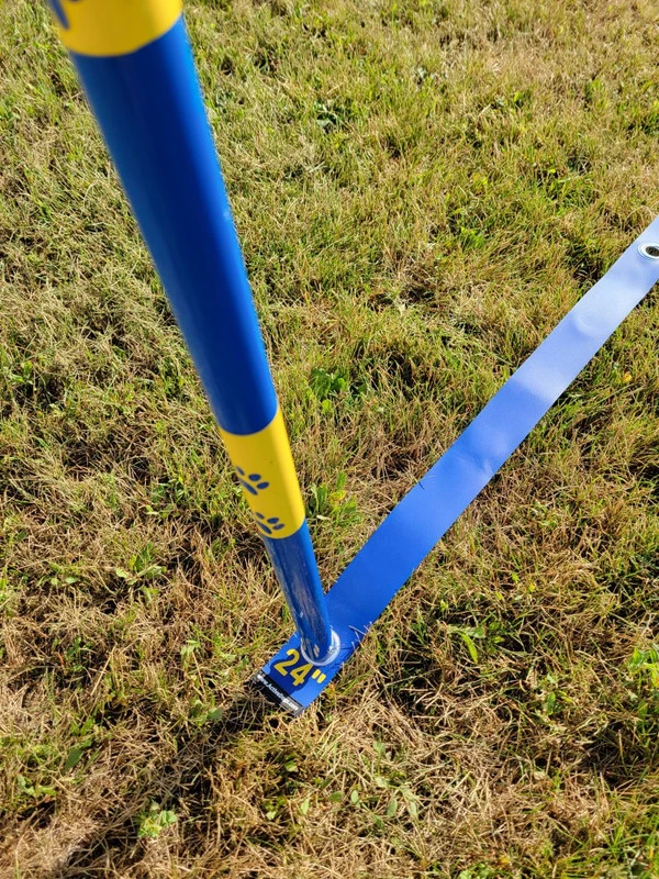 Agility Weave Pole Position Guide 3 Agility Weave Pole Position Guide - Image 3