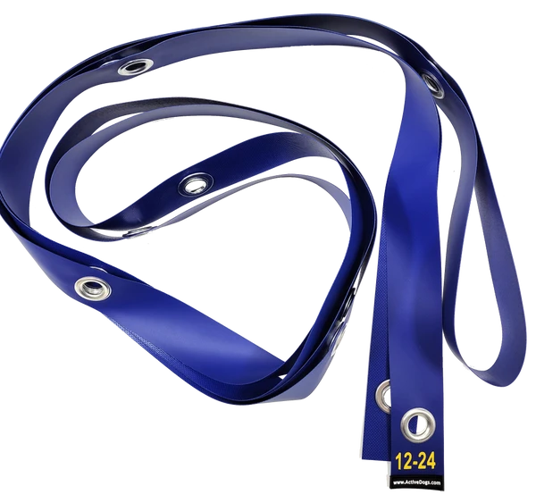 Agility Weave Pole Position Guide 7 Agility Weave Pole Position Guide - Image 7