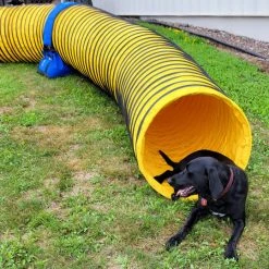 Agility Heavy Duty Dog Tunnel 24" X 20' -Puppy`s Store 350766 4 full 43160.1652382131